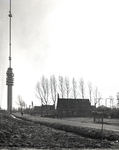 802333 Gezicht op enkele boerderijen aan de Hoge Biezendijk te IJsselstein vanaf de kruisig met de Middenweg; op de ...